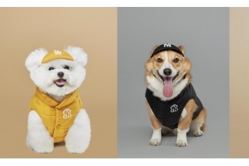 潮宠出街 特有看头MLB 推出全新PET秋冬限量潮宠服饰系列